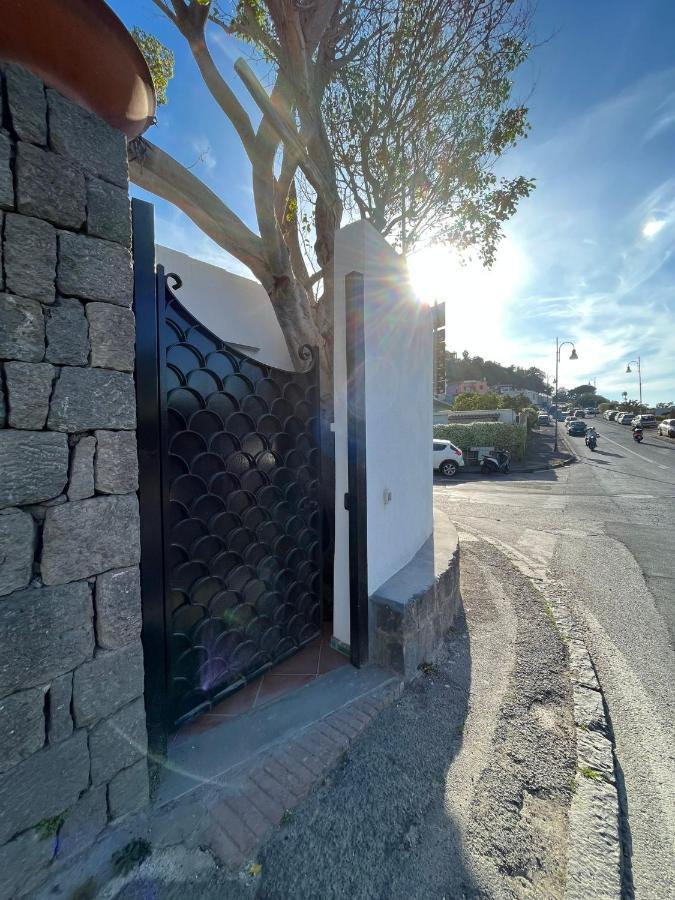 Smeraldino Lacco Ameno  Exterior photo